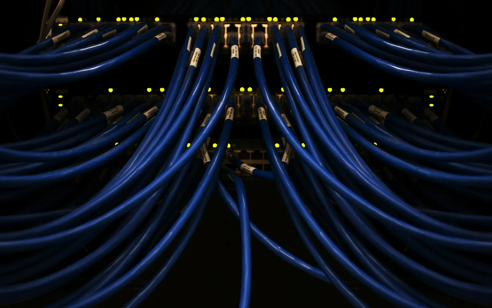 Blaue Netzwerkkabel an einem Patchpanel, im Dunkeln beleuchtet